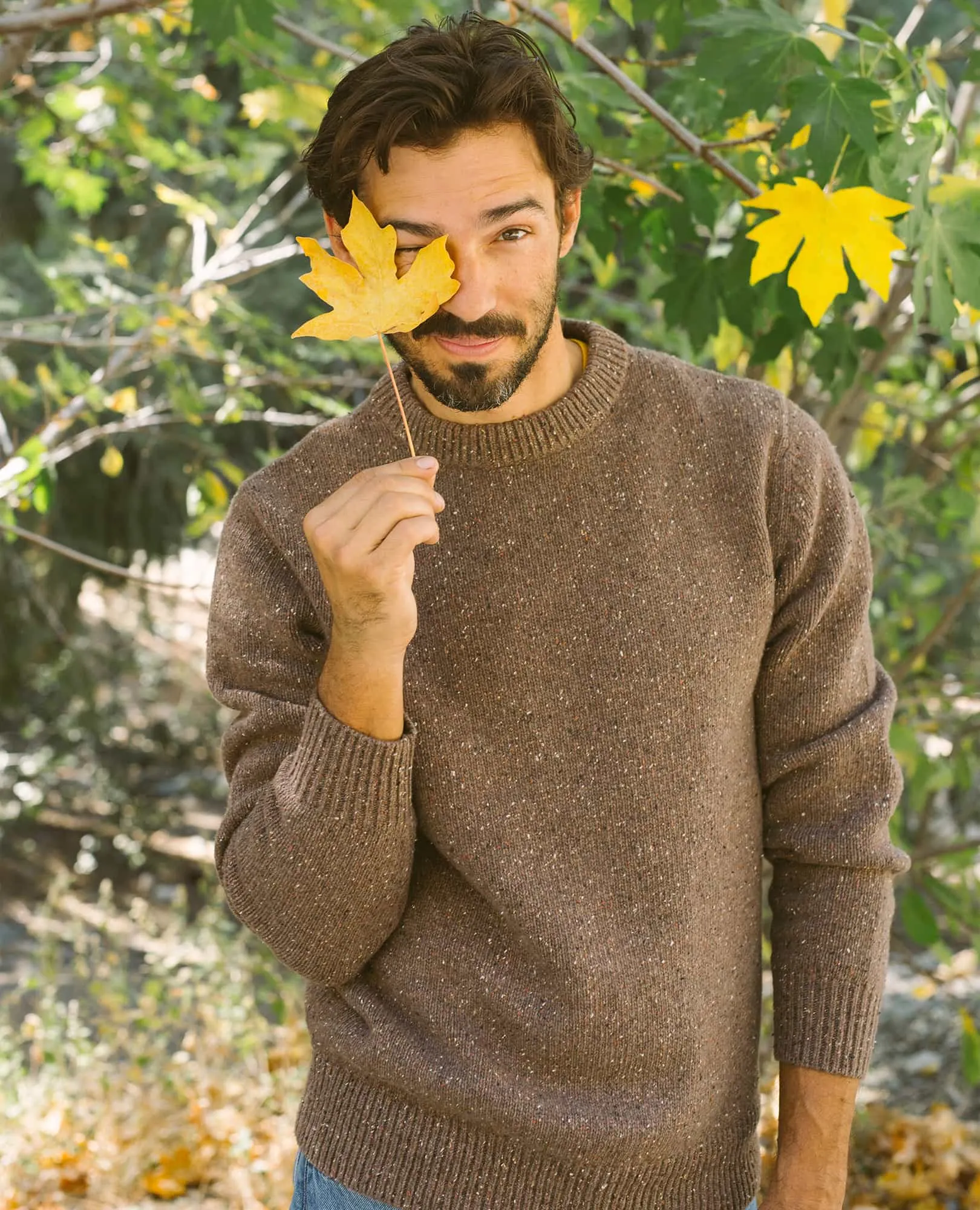 Men's Wilde Crew Sweater