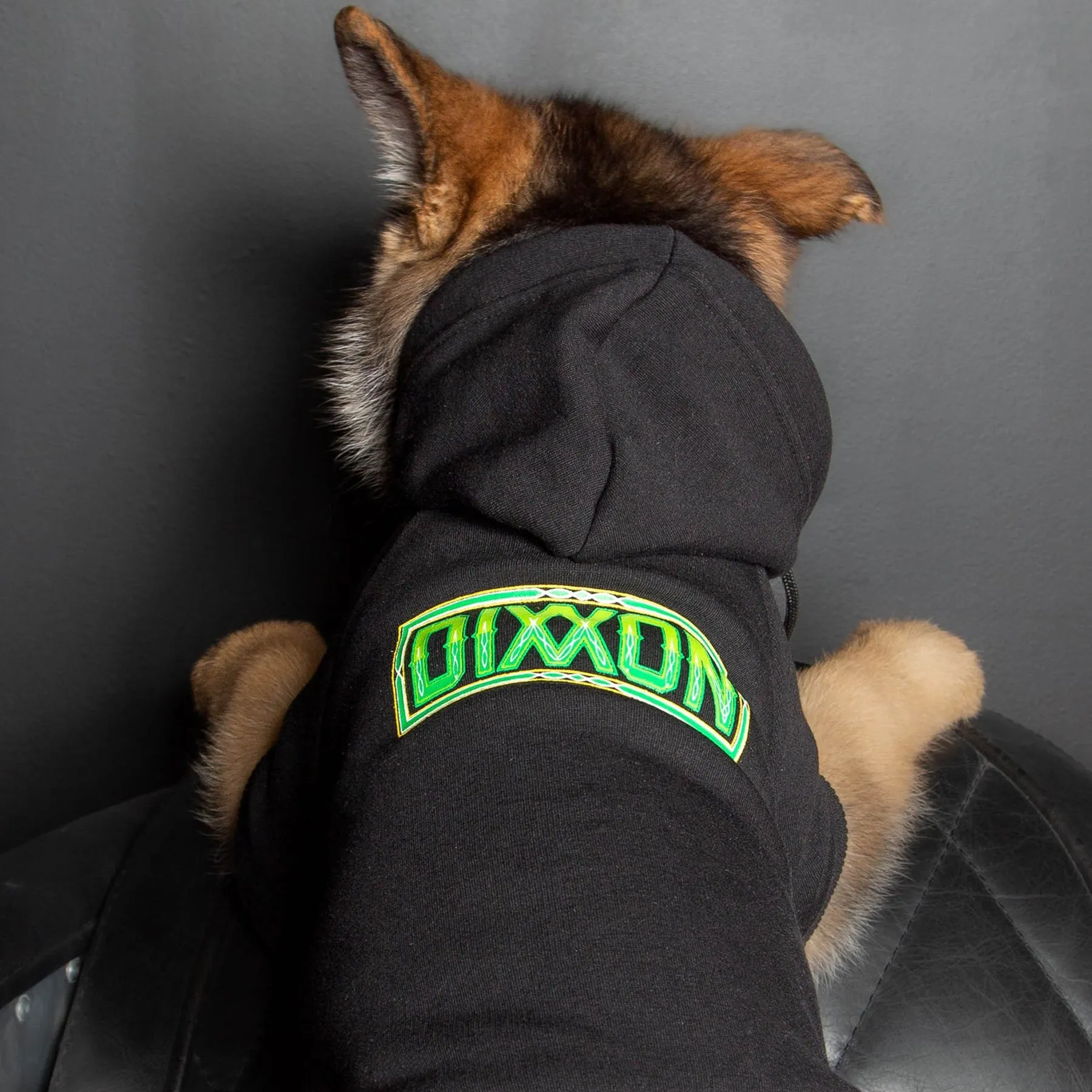 Perro Pinstripe Dog Hoodie