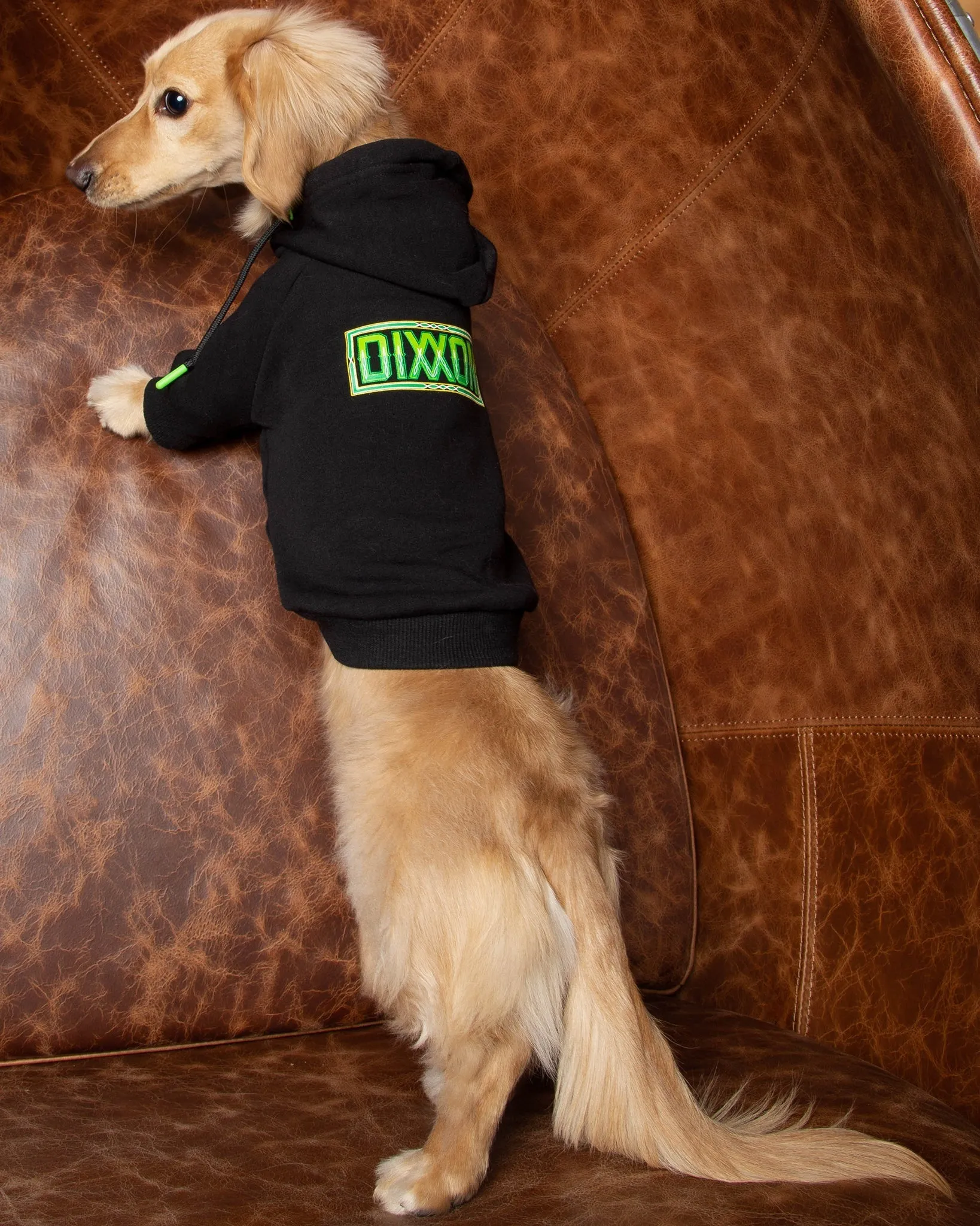 Perro Pinstripe Dog Hoodie