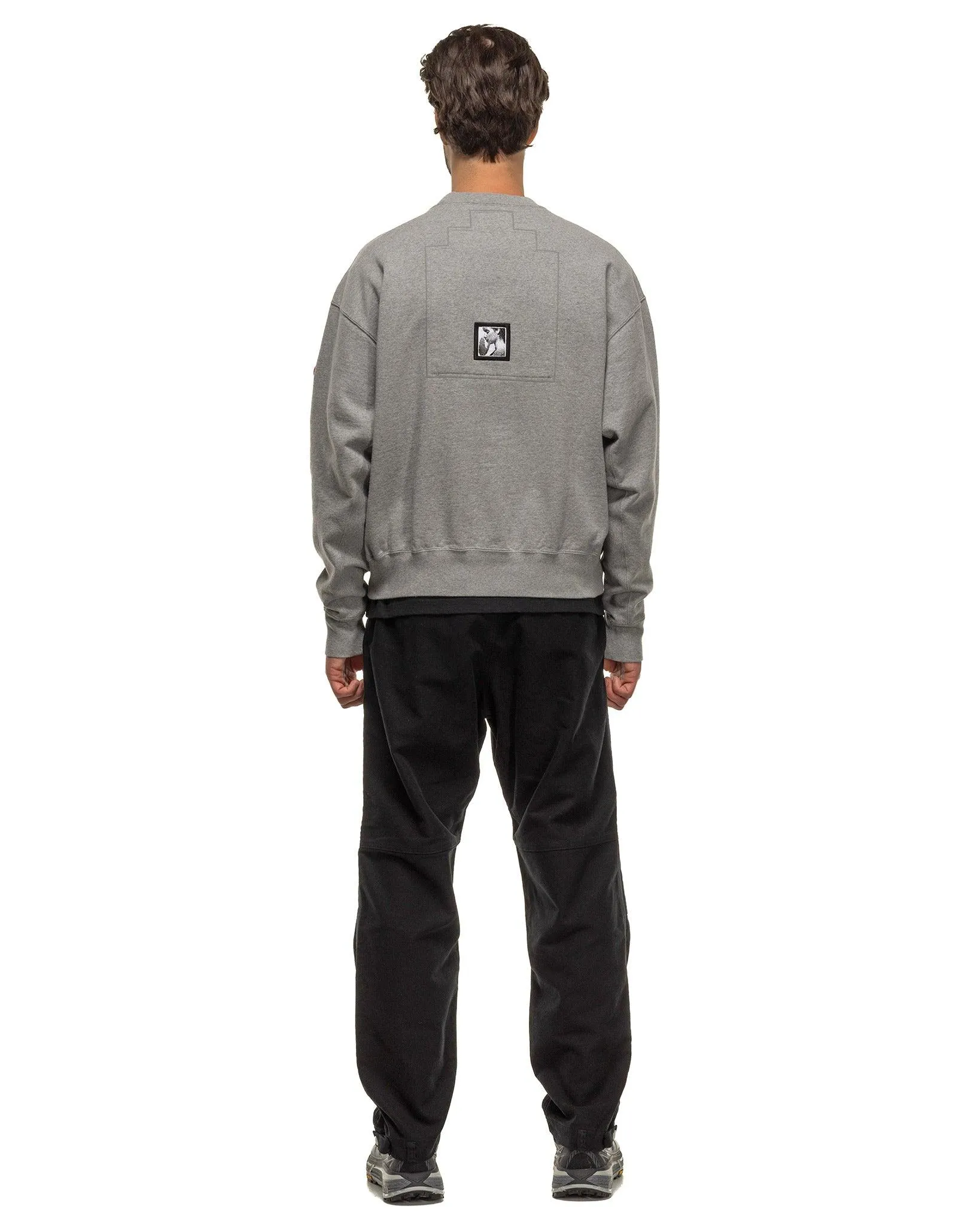 Zig Model Crew Neck Grey